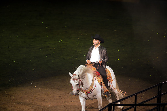 090119_HONDA_CENTER_0248