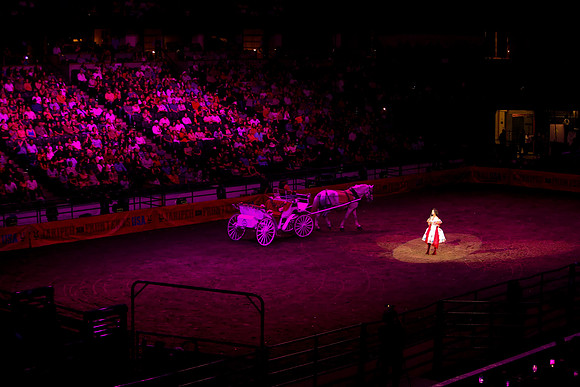 090119_HONDA_CENTER_0370