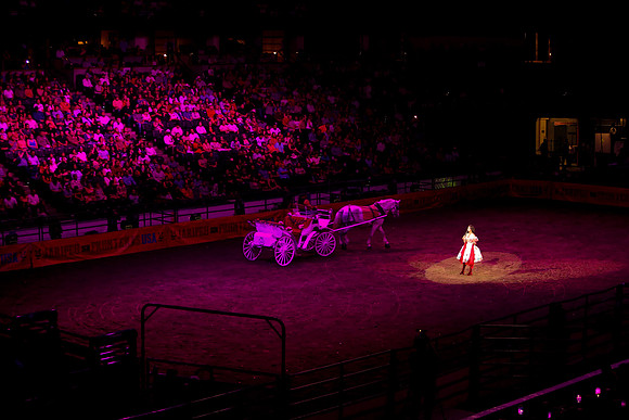 090119_HONDA_CENTER_0369