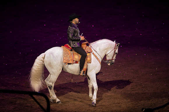 090119_HONDA_CENTER_0285