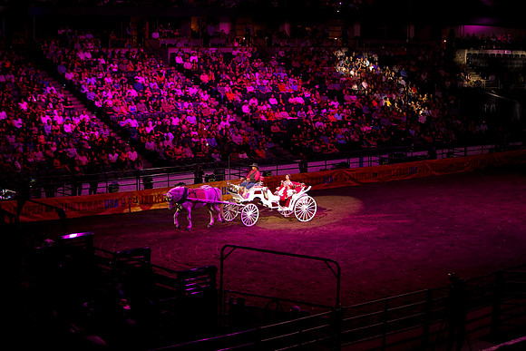 090119_HONDA_CENTER_0357