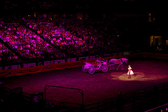 090119_HONDA_CENTER_0374