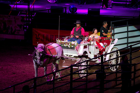 090119_HONDA_CENTER_0346