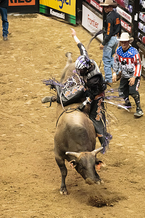 020417_HONDA_CENTER_0238
