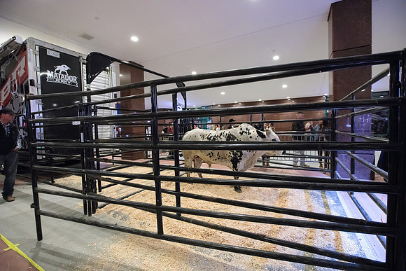 020417_HONDA_CENTER_0023