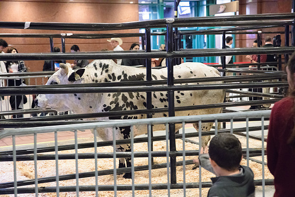 020417_HONDA_CENTER_0016
