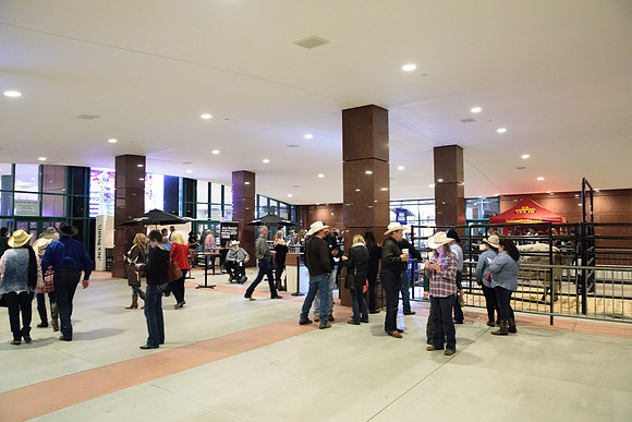 020417_HONDA_CENTER_0014