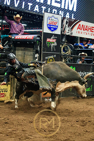 090719_HONDA_CENTER_0119