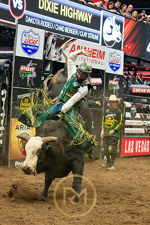 090719_HONDA_CENTER_0170