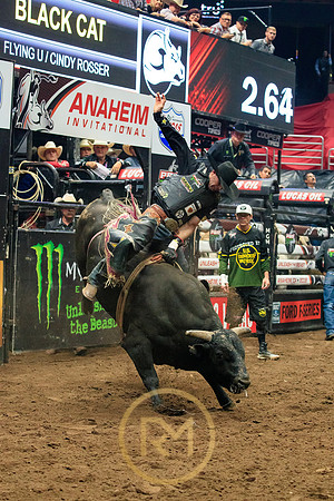 090719_HONDA_CENTER_0071