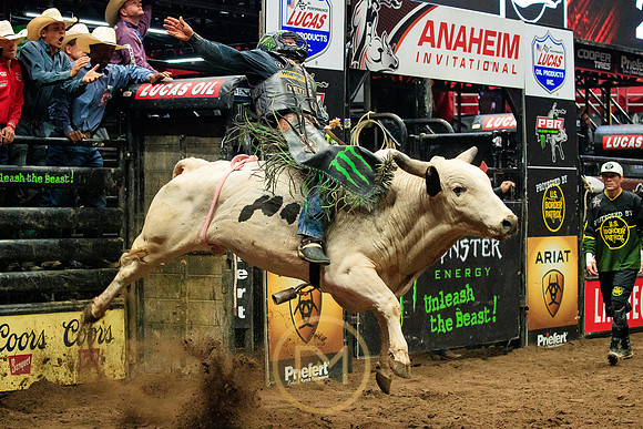 090719_HONDA_CENTER_0152