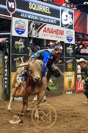 090719_HONDA_CENTER_0099