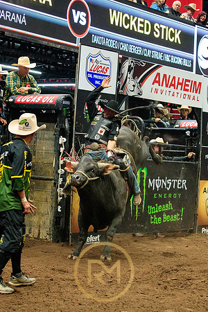 090719_HONDA_CENTER_0174