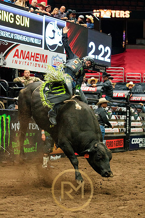 090719_HONDA_CENTER_0241