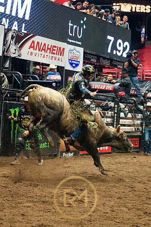 090719_HONDA_CENTER_0101