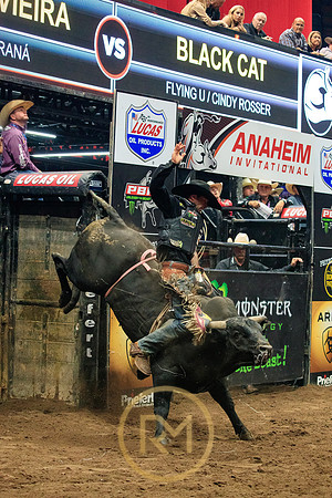 090719_HONDA_CENTER_0070