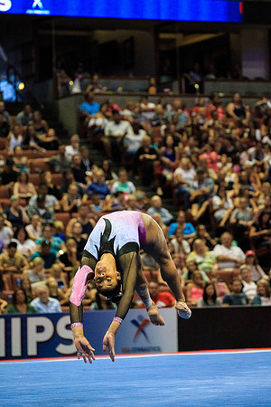 082017_HONDA_CENTER_0243