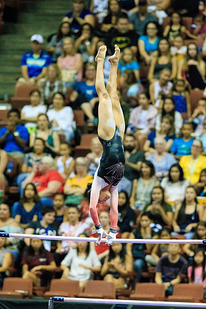 082017_HONDA_CENTER_0154