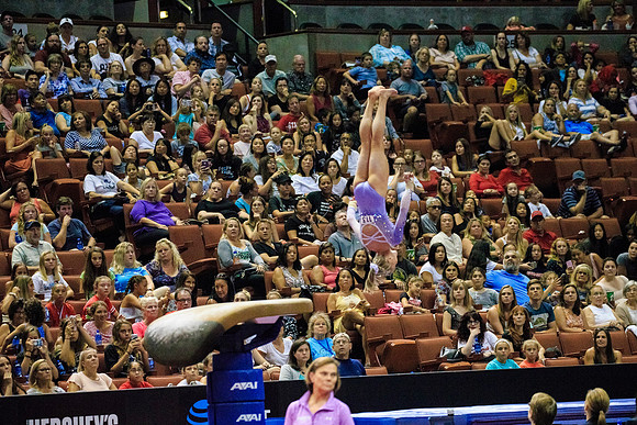 082017_HONDA_CENTER_0242