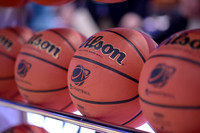 032914_HONDA_CENTER__0003