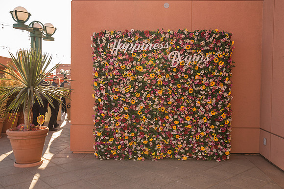 100619_HONDA_CENTER_0033
