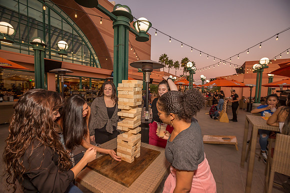 100619_HONDA_CENTER_0073