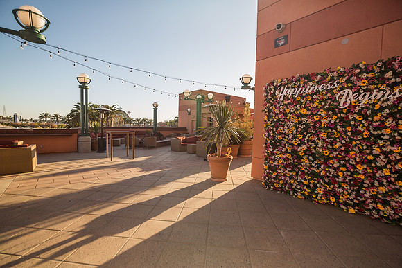 100619_HONDA_CENTER_0035
