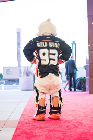 100713_HONDA_CENTER_0325
