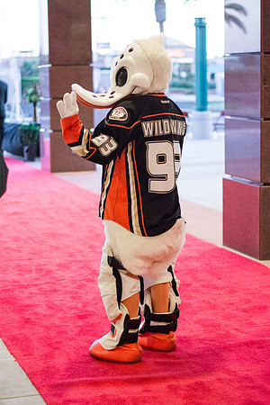 100713_HONDA_CENTER_0323