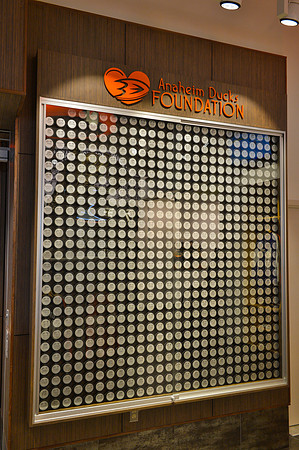 100713_HONDA_CENTER_0307