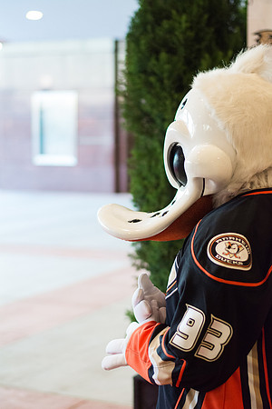 100713_HONDA_CENTER_0322