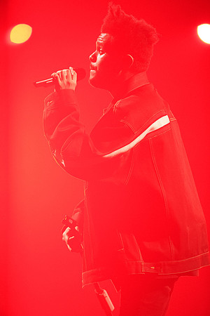 101317_HONDA_CENTER_0164