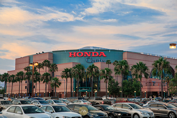 070917_ANAHEIM_DUCKS_0011