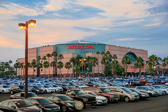070917_ANAHEIM_DUCKS_0015