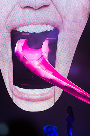 022014_HONDA_CENTER_0070