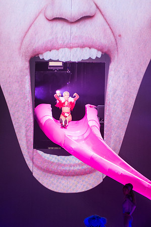 022014_HONDA_CENTER_0075