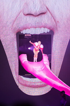 022014_HONDA_CENTER_0072