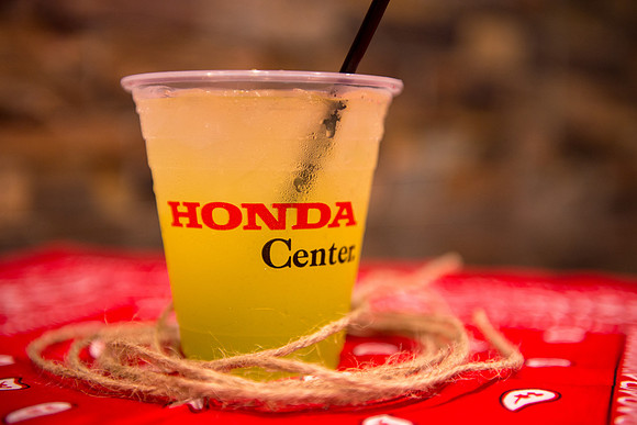 063018_HONDA_CENTER_0193