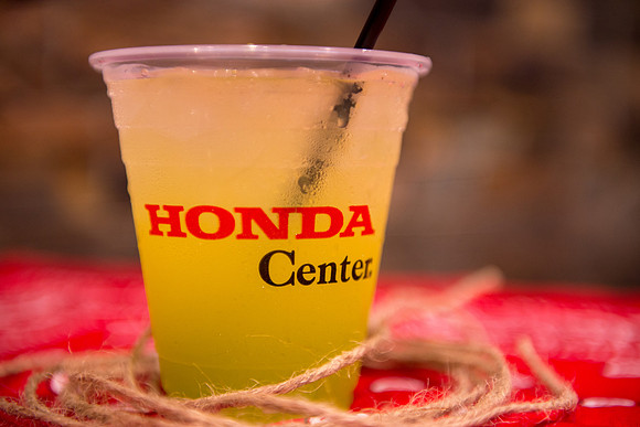 063018_HONDA_CENTER_0191