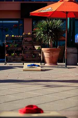 072019_HONDA_CENTER_0012