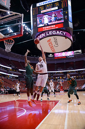 120113_HONDA_CENTER_0051