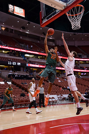 120113_HONDA_CENTER_0023