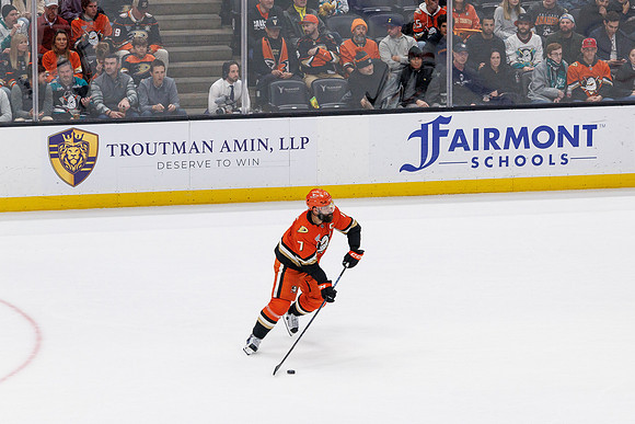031125_ANAHEIM_DUCKS_1321