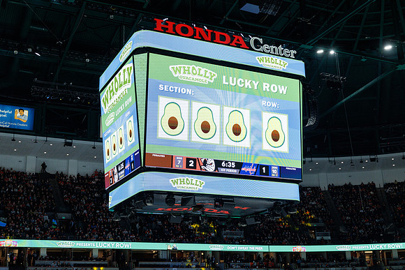 031125_ANAHEIM_DUCKS_1089