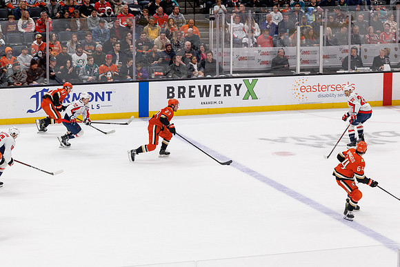 031125_ANAHEIM_DUCKS_1291