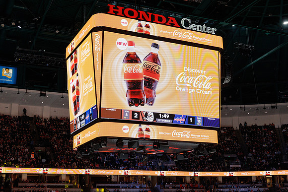 031125_ANAHEIM_DUCKS_1133