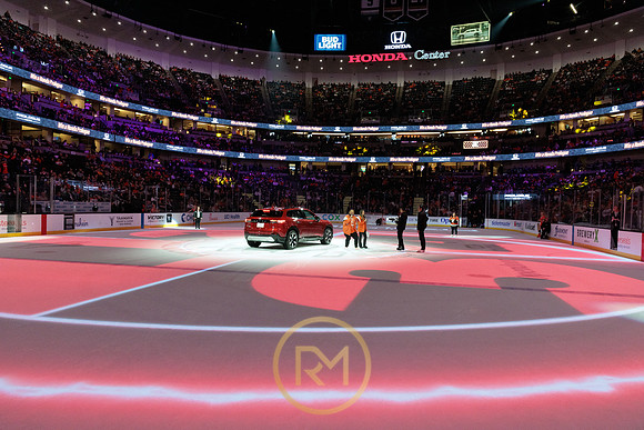 041325_ANAHEIM_DUCKS_155