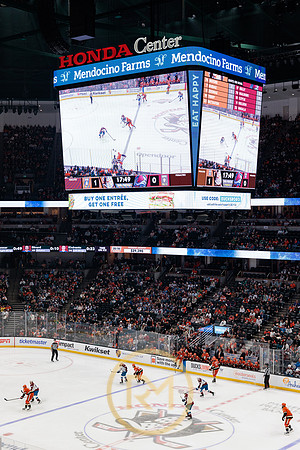 041325_ANAHEIM_DUCKS_189