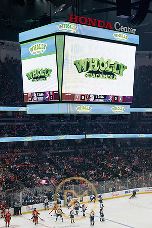 041325_ANAHEIM_DUCKS_088
