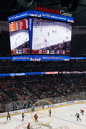 041325_ANAHEIM_DUCKS_100